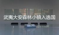武夷大安森林小鎮(zhèn)入選國(guó)家森林小鎮(zhèn)建設(shè)試點(diǎn)