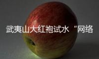 武夷山大紅袍試水“網絡斗茶” 網友說了算