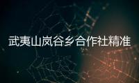 武夷山嵐谷鄉(xiāng)合作社精準(zhǔn)發(fā)力 助力貧困戶脫貧