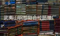 武夷山鋼塑復合拉筋帶廠家采購供應