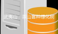 武夷山：茶山套種綠化樹 生態反哺催生綠色效益