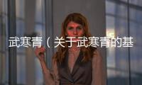 武寒青（關于武寒青的基本情況說明介紹）