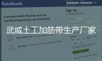 武威土工加筋帶生產(chǎn)廠家