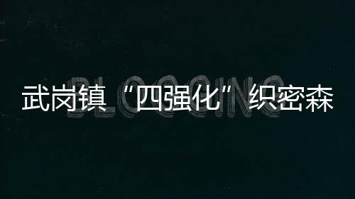 武崗鎮“四強化”織密森林“安全網”_
