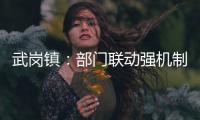 武崗鎮：部門聯動強機制 交通勸導保出行_