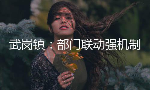 武崗鎮：部門聯動強機制 交通勸導保出行_