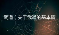 武道（關于武道的基本情況說明介紹）