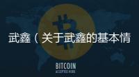 武鑫（關于武鑫的基本情況說明介紹）