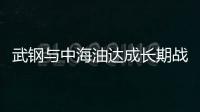 武鋼與中海油達成長期戰略合作意向