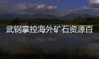 武鋼掌控海外礦石資源百億噸 五年后可全自給