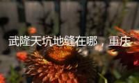 武隆天坑地縫在哪，重慶武隆天坑地縫旅游攻略之天坑
