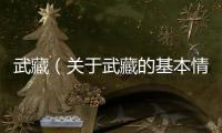 武藏（關于武藏的基本情況說明介紹）