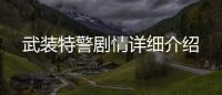 武裝特警劇情詳細介紹