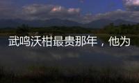 武鳴沃柑最貴那年，他為何逆勢(shì)種紅江橙？差異化才是生存之道！