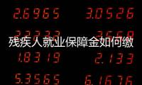 殘疾人就業保障金如何繳納和申報（殘疾人就業保障金如何計算）