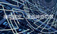 棒菜解密：這些神奇功效，你絕對(duì)想不到！
