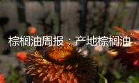 棕櫚油周報：產地棕櫚油互有漲跌，國內高位震蕩
