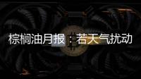 棕櫚油月報：若天氣擾動疊加需求復蘇，棕櫚油或易漲難跌難跌