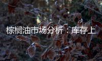 棕櫚油市場分析：庫存上升與需求波動的雙重挑戰(zhàn)