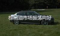棕櫚油市場振蕩向好