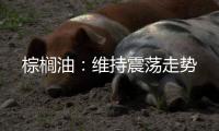 棕櫚油：維持震蕩走勢