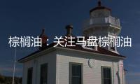 棕櫚油：關注馬盤棕櫚油在3700的支撐；豆油
