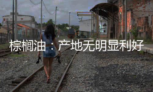 棕櫚油：產地無明顯利好反彈乏力