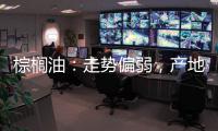 棕櫚油：走勢偏弱，產地缺乏上漲驅動；豆油