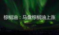 棕櫚油：馬盤(pán)棕櫚油上漲動(dòng)能仍不強(qiáng)