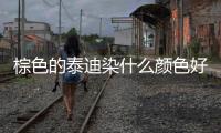棕色的泰迪染什么顏色好看？棕色泰迪染色效果