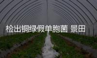 檢出銅綠假單胞菌 景田1批次飲用水不合格