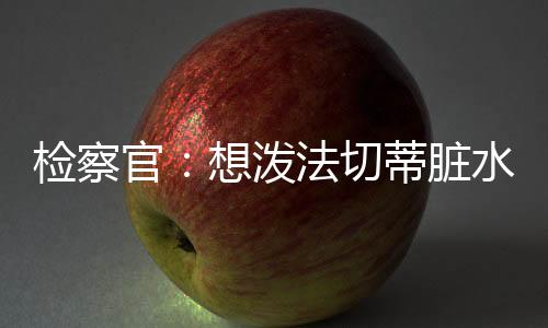 檢察官：想潑法切蒂臟水？別扯淡了！