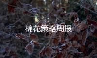 棉花策略周報