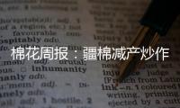 棉花周報：疆棉減產炒作行情尚未結束，下游依舊疲軟