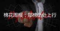 棉花周報：鄭棉仍處上行態勢
