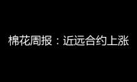 棉花周報(bào)：近遠(yuǎn)合約上漲，牛市特征明顯