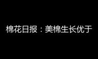 棉花日報：美棉生長優(yōu)于去年同期水平，ICE期棉陰線收跌