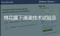 棉花膜下滴灌技術試驗及效果