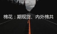 棉花：期現貨、內外棉共振上漲
