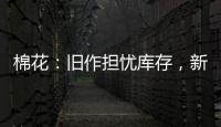 棉花：舊作擔憂庫存，新作擔憂產(chǎn)量