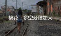 棉花：多空分歧加大