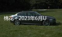 棉花：2023年6月USDA棉花供需報告解讀