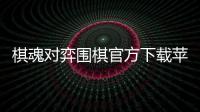棋魂對弈圍棋官方下載蘋果版（棋魂對弈圍棋官方下載）