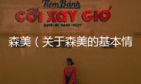 森美（關于森美的基本情況說明介紹）