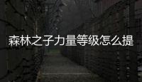 森林之子力量等級怎么提升