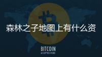 森林之子地圖上有什么資源