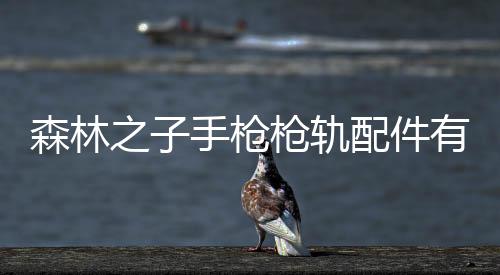 森林之子手槍槍軌配件有什么用