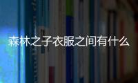 森林之子衣服之間有什么區別