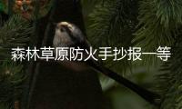 森林草原防火手抄報一等獎（森林草原防火手抄報）