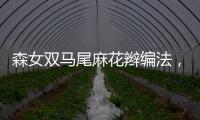 森女雙馬尾麻花辮編法，森女風的兩股辮編法